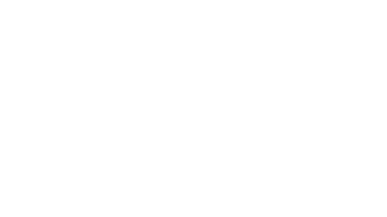 Fabrice Founeau Développement
